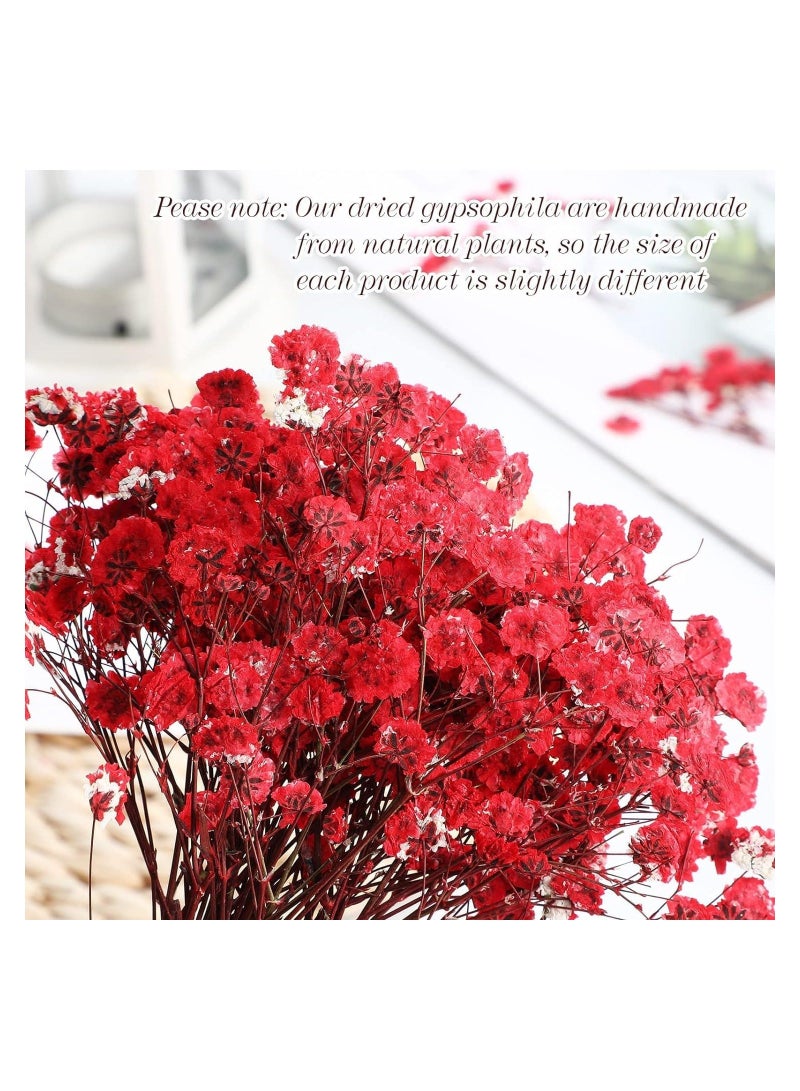 Mini Dried Baby's Breath Flowers, 60 Pcs Dried Pressed Flowers 1.97-3.15 Inch Mini Natural Branches Bouquet for Wedding DIY Card Home Party Decor Vase Table Craft Decor - Image 3