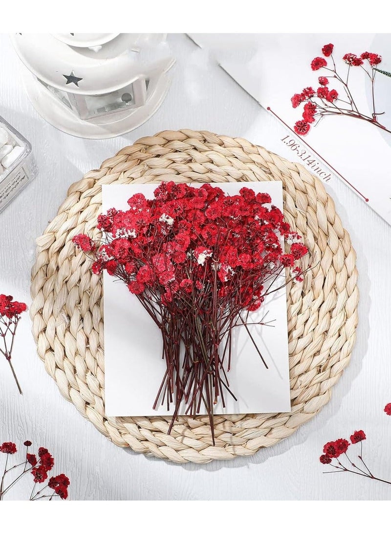 Mini Dried Baby's Breath Flowers, 60 Pcs Dried Pressed Flowers 1.97-3.15 Inch Mini Natural Branches Bouquet for Wedding DIY Card Home Party Decor Vase Table Craft Decor - Image 2
