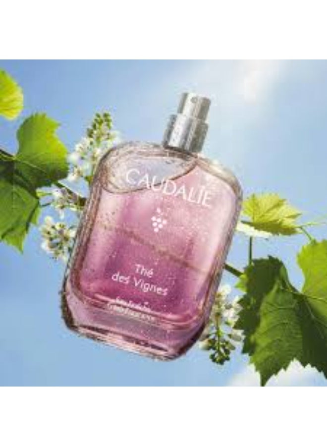 كودالي عطر Thé des Vignes المنعش 50 مل - Image 2