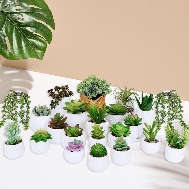 Winlyn Winlyn 22 Pcs Bulk Artificial Succulents Plants Unpotted Small Aloe Hanging String of Pearls Cactus Green Fake Succulents for Succulent Garden Arrangement Centerpiece Wall Indoor Outdoor Home Decor  - Image 3