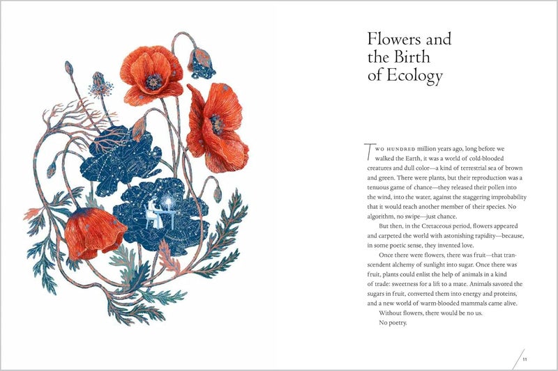 The Universe in Verse: 15 Portals to Wonder through Science and Poetry - Image 3