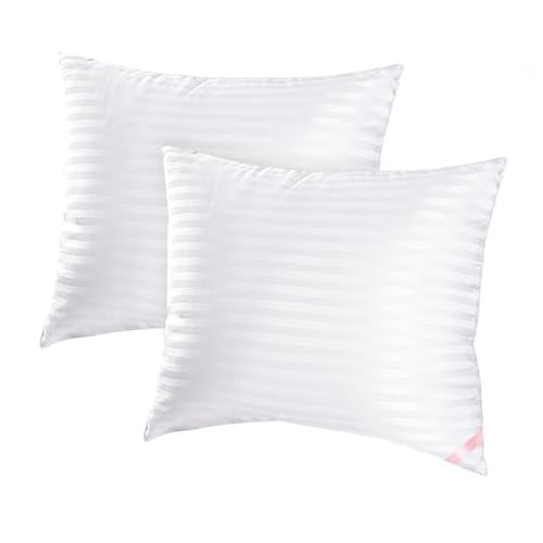 EIUE Throw Pillow Inserts Machine Washable PillowsPremium Polyester Fiber Fill for Sofa Bed Decorative Cushions White 20x20inch - Image 1