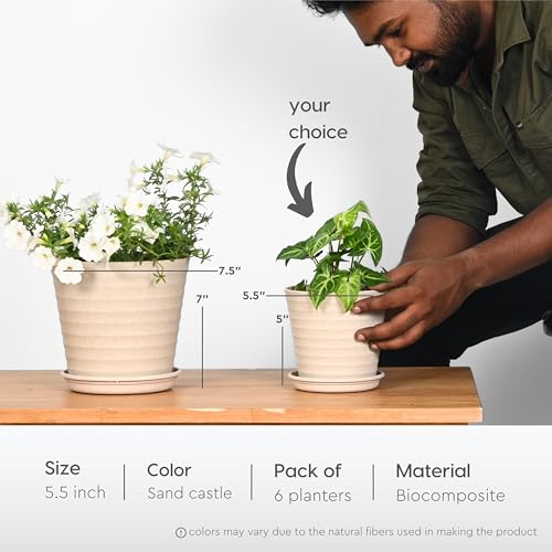 Eha Set of 6 Earth-Friendly Linea 5.5" Pots for Plants | Bamboo Based Plant Pots | UV Protected | Flower Pot for Indoor, Home Decor, Outdoor, Balcony & Garden | Sand Castle - Image 2