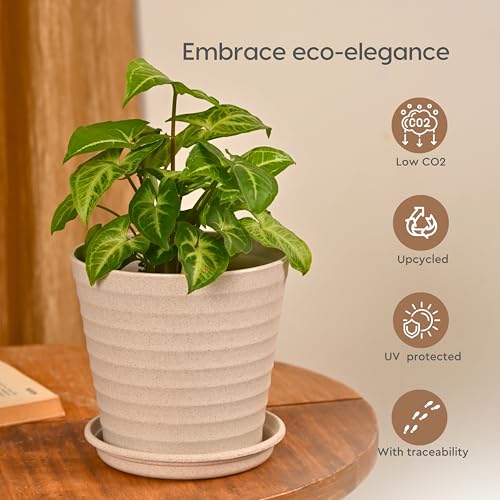Eha Set of 6 Earth-Friendly Linea 5.5" Pots for Plants | Bamboo Based Plant Pots | UV Protected | Flower Pot for Indoor, Home Decor, Outdoor, Balcony & Garden | Sand Castle - Image 4
