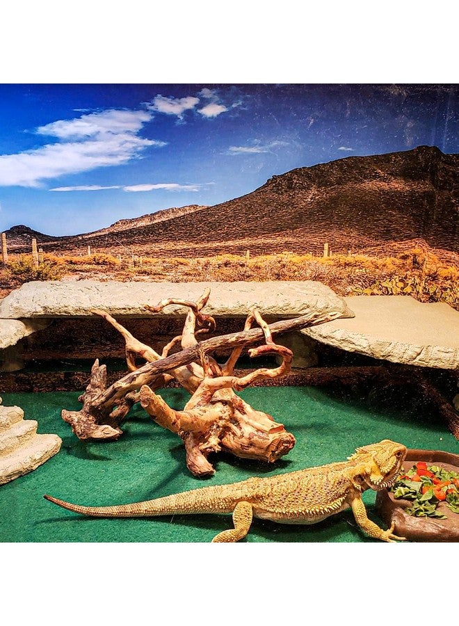 HERCOCCI 2 Pack Reptile Carpet, 39’’ x 20’’ Terrarium Bedding Substrate Liner Reptile Cage Mat Tank Accessories for Bearded Dragon Lizard Tortoise Leopard Gecko Snake (Green) - Image 5