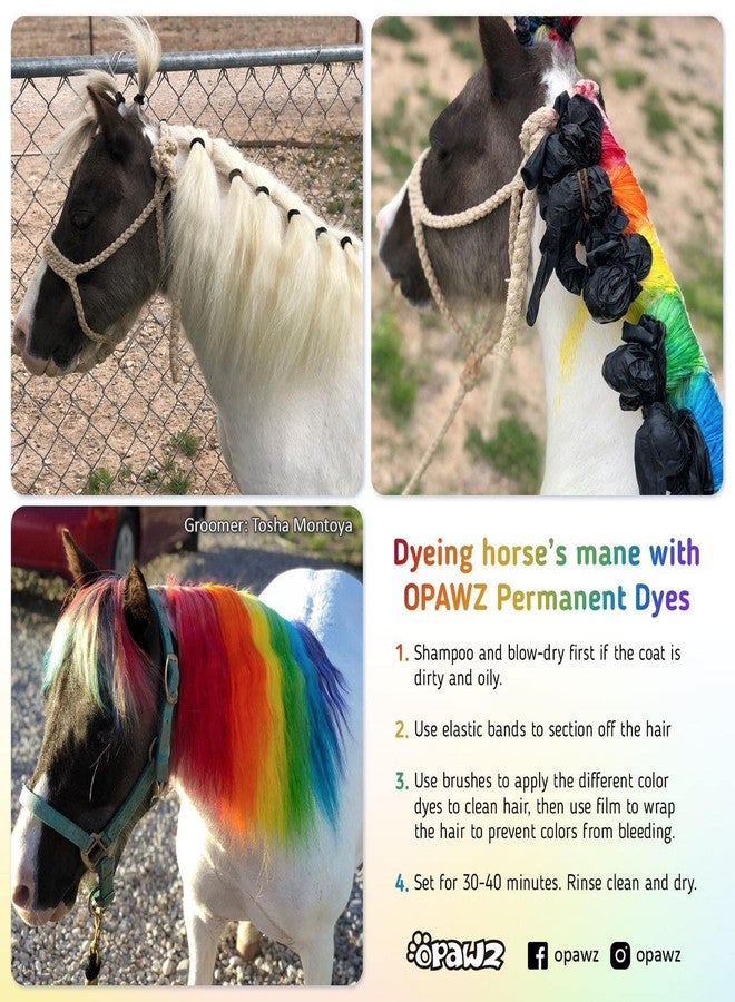 OPAWZ Permanent Dog Hair Dye, Pet Hair Dye Safely Used by Grooming Salons for a Decade, Pet Safe Dye Lasts Over 20 Washes, Bright Color for Dogs and Horses (Flame Orange) - Image 4