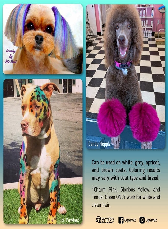 OPAWZ Permanent Dog Hair Dye, Pet Hair Dye Safely Used by Grooming Salons for a Decade, Pet Safe Dye Lasts Over 20 Washes, Bright Color for Dogs and Horses (Flame Orange) - Image 2