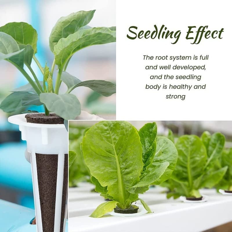 60 Pcs Hydroponic Plant Grow Sponges Pods Kit Root Plant Basket Seed Planting Kit Replacement Pod Cups Pot Hydroponic Pods for Garden Indoor Herb Growing System Petal Style baihuo - Image 5