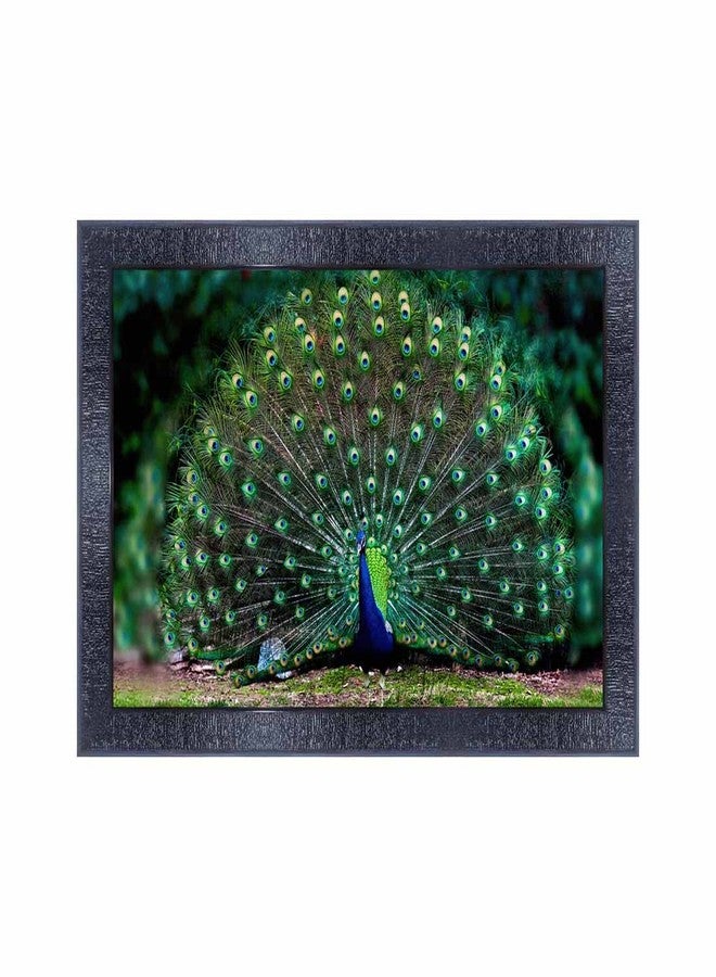 pnf Poster And Frames Peacock Wall Painting With Acrylic Sheet | For Living Room, Bedroom | Home Decoration Item | Best Gifting Option (10 * 14inch,Multicolour,Synthetic) 17021 - Image 1