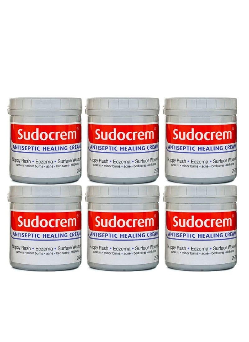 Sudocrem Sudocrem Antiseptic Cream 60g x 6 Packs  - Image 1
