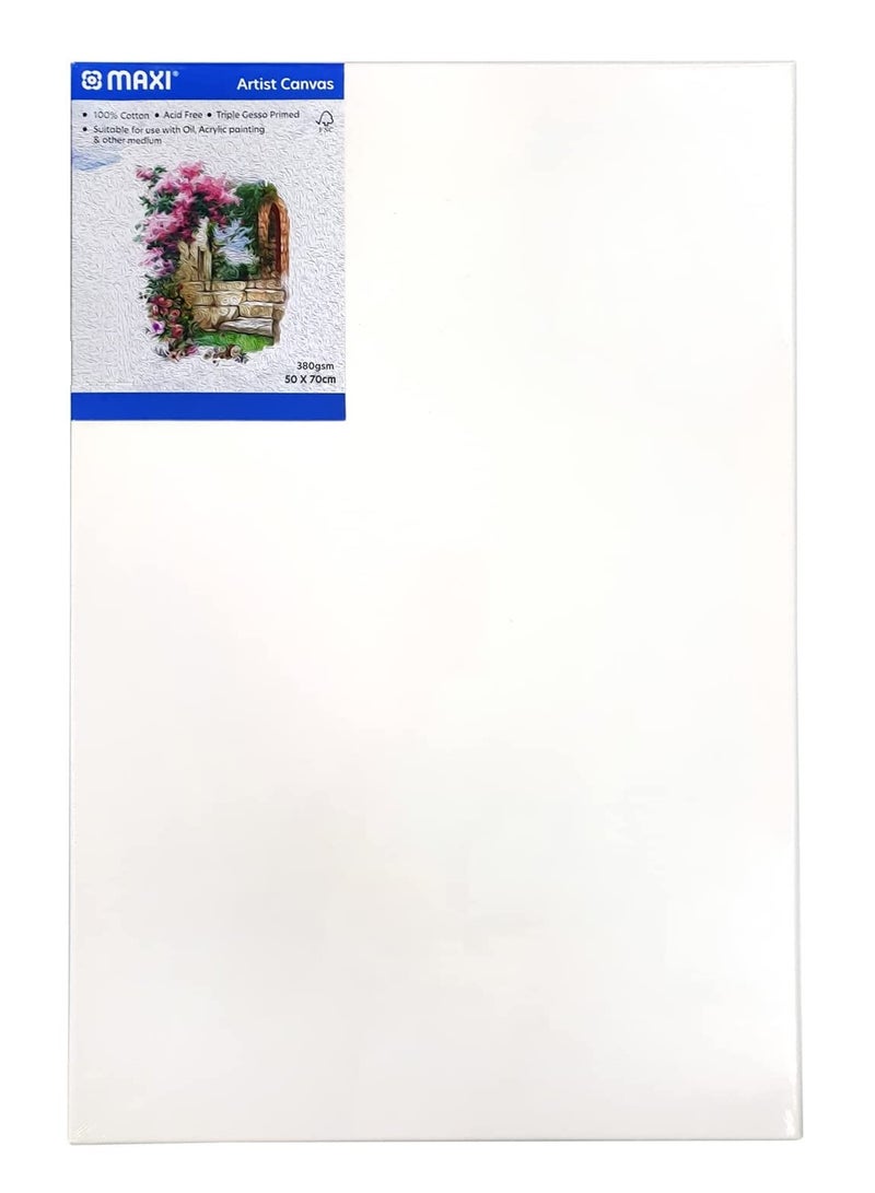 Maxi 1-Piece Stretched Canvas 50x70cm Size - Image 1