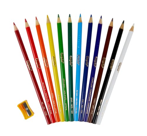 Crayola Colored Pencils Classpack (240ct), Bulk Colored Pencils for Kids, 12 Colors, Coloring Supplies, Must Have Teacher Classroom Essentials for School - Image 5