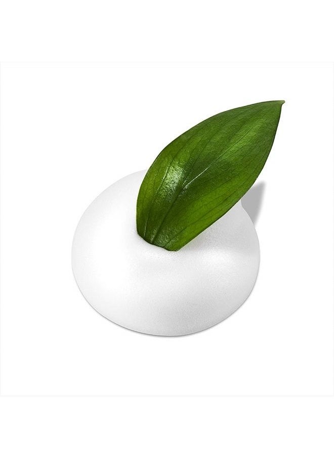 DERMALOGY by NEOGENLAB Real Fresh Foam Cleanser, Green Tea, 5.6 Fl Oz  - Image 2