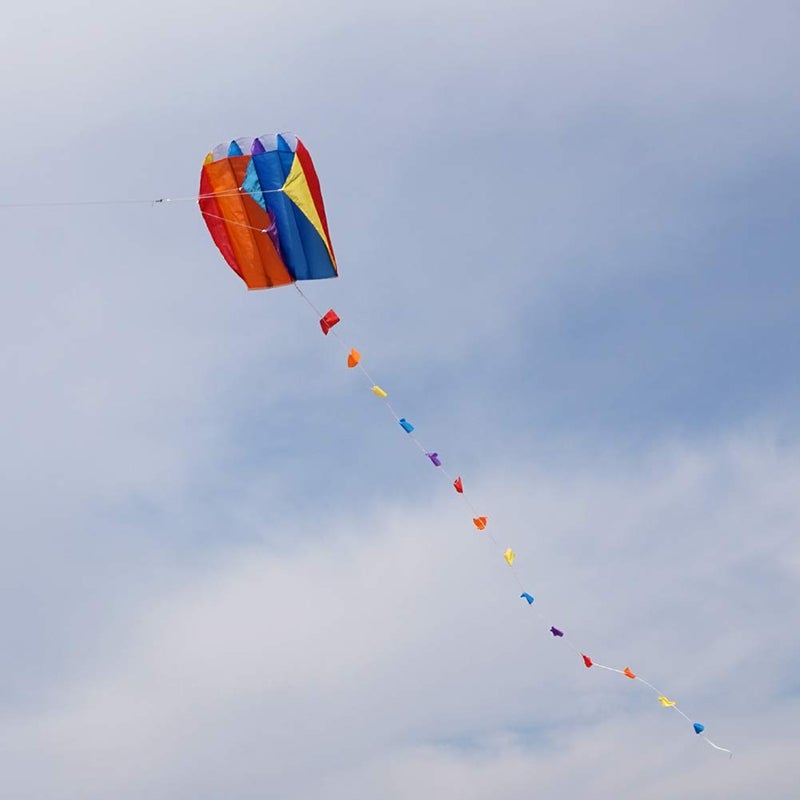 Besra Colorful Parafoil Kite with Long Tail Easy to Fly Outdoor Fun Sports (20inch) - Image 5