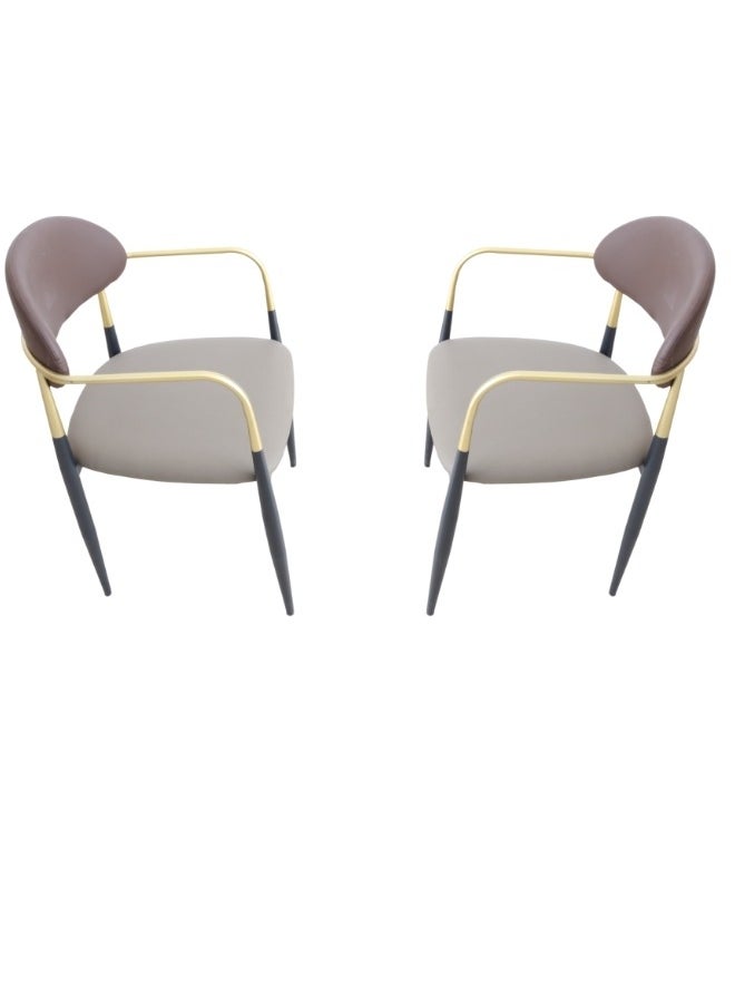 SMART HOME - Chair set consists of two leather chairs with comfortable and padded memory foam filling modern for the living room, dining chair, makeup room chair, café chair - Image 1