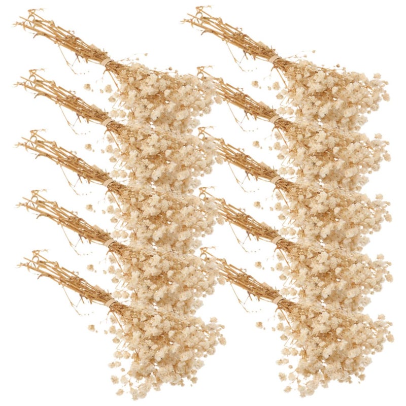 سيقان الجبس الطبيعي المجففة باقة زهور نَفَس الطفل لتزيين حفلات الزفاف والمنزل والمكتب - Image 2