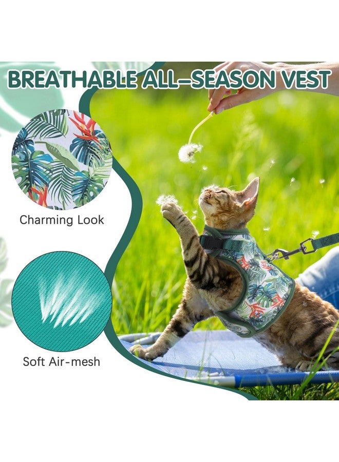 BINGPET Cat Harness and Leash Set Escape Proof for Walking,Step-in Harness with Lightweight Soft Breathable Mesh,Adjustable Easy Control Harness (Emerald Hues, M(Chest:10.5-13.5")) - Image 2