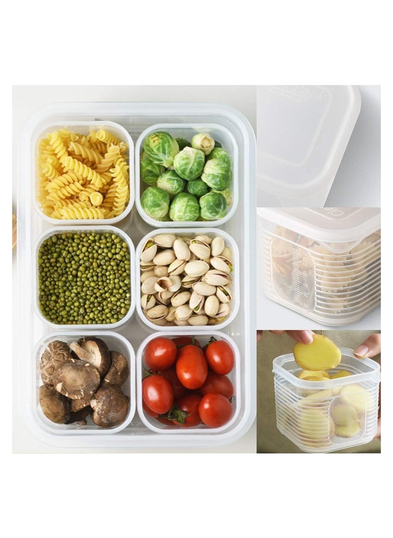 Reusable Plastic Food Storage Containers for Fridge, Large Food Storage Container with 6 Detachable Small Bins for Organizing and Storing Vegetables, Fruits, Meat, Fish, Fresh Keeping