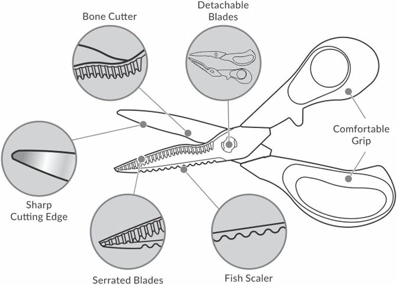 FITTO 5 in 1 Multi-Purpose Stainless Steel Detachable Kitchen Scissors with Classic Kitchen Knife, Serrated Blade, Fish Scaler, Bone Cutter, Ergonomic Handle – Essential Kitchen Tool Set - Image 4