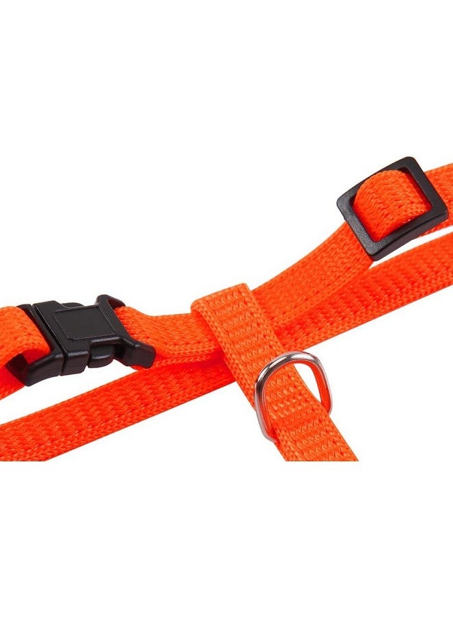 Cat Harness Leash Set - Adjustable Nylon Harness Strap Collar With Leash Set For Small Pet Walking - Plain (Orange) - Image 3