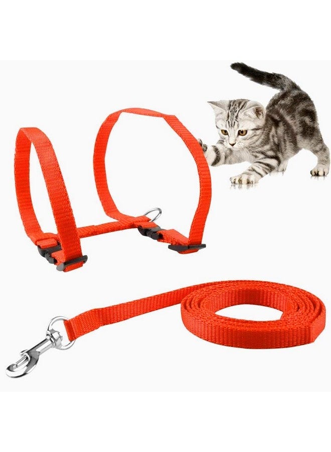 Cat Harness Leash Set - Adjustable Nylon Harness Strap Collar With Leash Set For Small Pet Walking - Plain (Orange) - Image 2