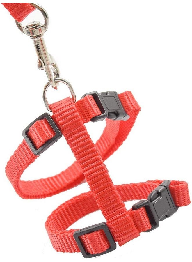 Cat Harness Leash Set - Adjustable Nylon Harness Strap Collar With Leash Set For Small Pet Walking - Plain (Orange) - Image 5