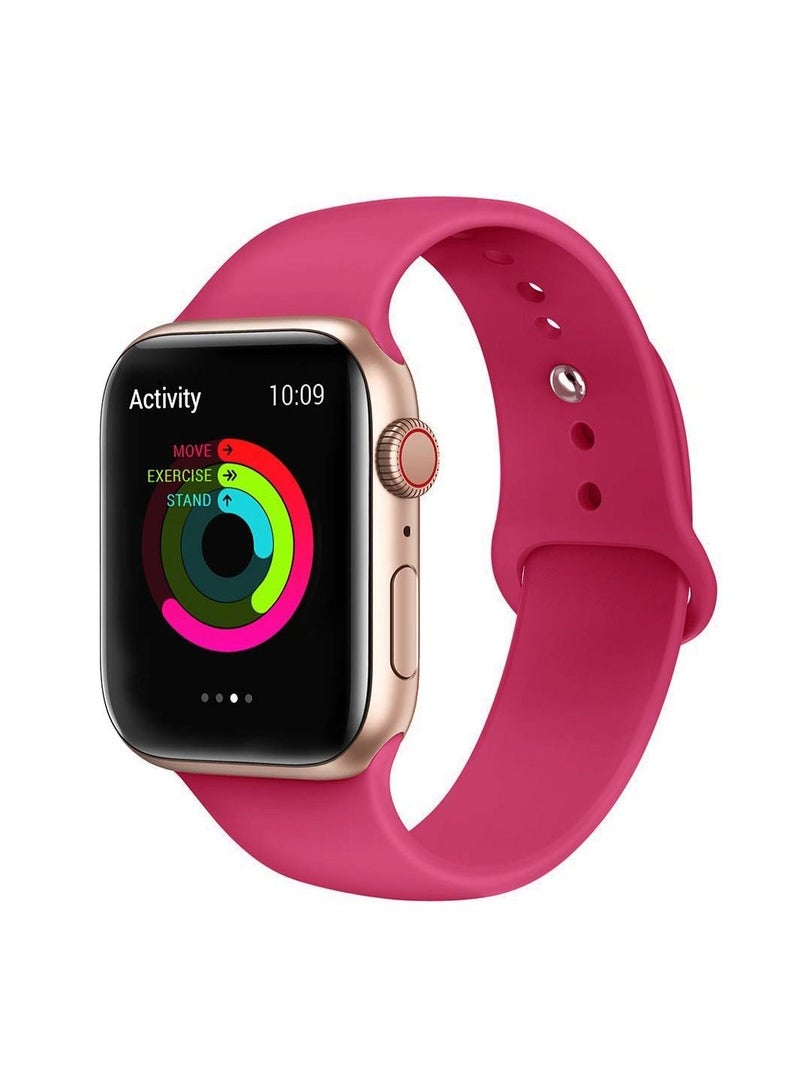 Soft Silicone Fitness Replacement Wristband Strap For Apple iWatch Band Series 6/5/4/3/2/1/SE 42-44mm