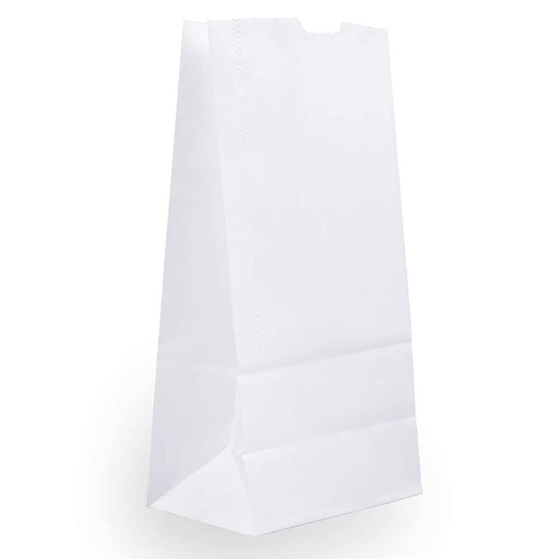JAM PAPER 100 Recycled SnackLunch Bags Medium 5 x 9 34 x 3 White Kraft Grocery Bags 25Pack