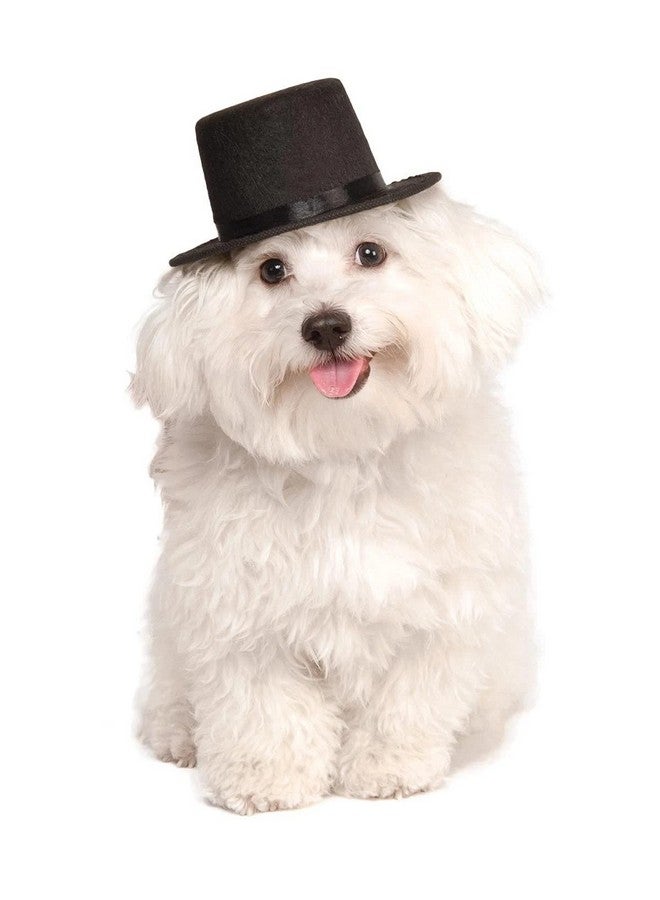 Rubies Rubie's Top Hat for Your Pet, Medium/Large Multicolor - Image 1