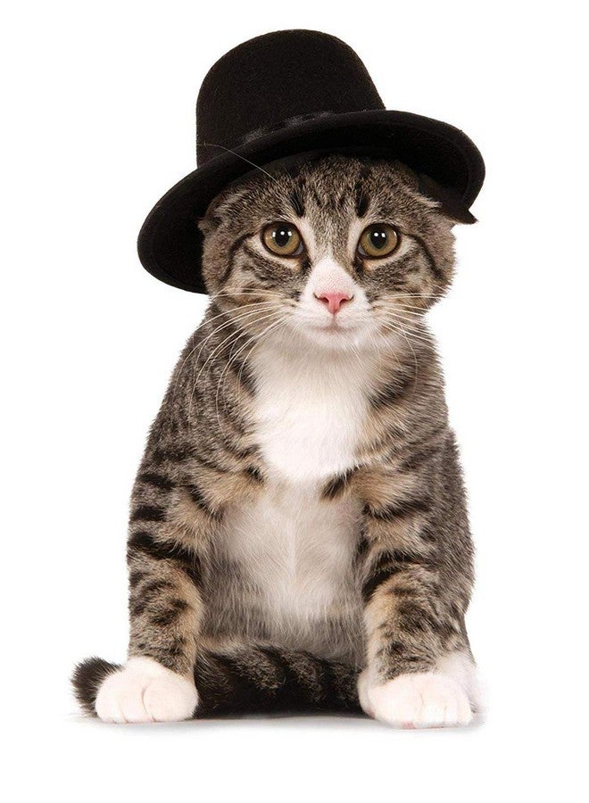 Rubies Rubie's Top Hat for Your Pet, Medium/Large Multicolor - Image 2