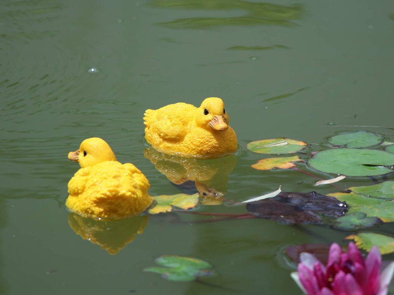 Rmdusk Floating Resin Duck Figurine Pond Décor Garden Lawn Patio Outdoor Statue Yellow (Set of 2) - Image 2