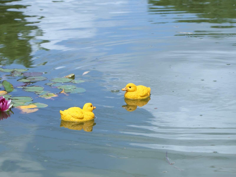 Rmdusk Floating Resin Duck Figurine Pond Décor Garden Lawn Patio Outdoor Statue Yellow (Set of 2) - Image 4