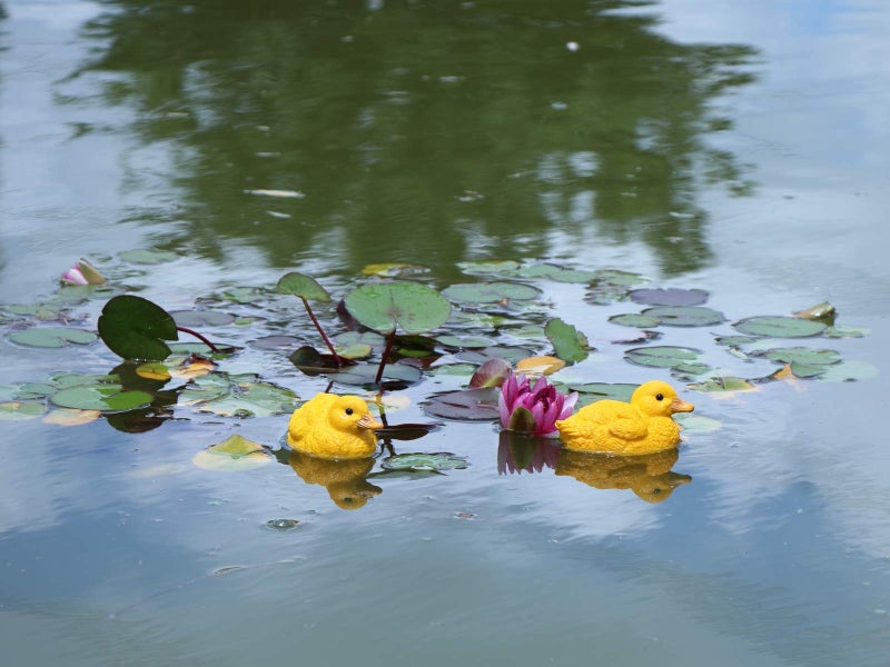 Rmdusk Floating Resin Duck Figurine Pond Décor Garden Lawn Patio Outdoor Statue Yellow (Set of 2) - Image 5