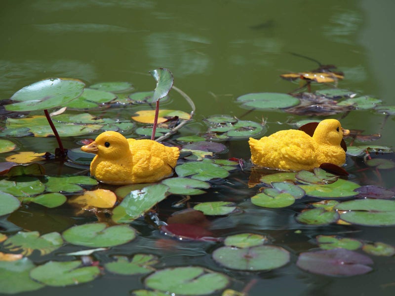 Rmdusk Floating Resin Duck Figurine Pond Décor Garden Lawn Patio Outdoor Statue Yellow (Set of 2) - Image 3