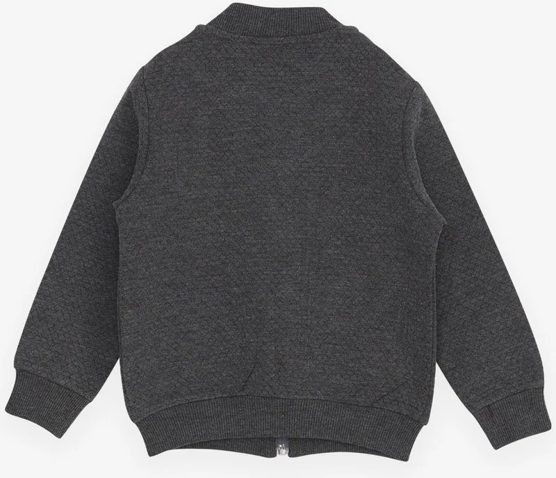 Breeze Boy's Cardigan Basic with Pockets and Emblem 2-6 Years, Smoked