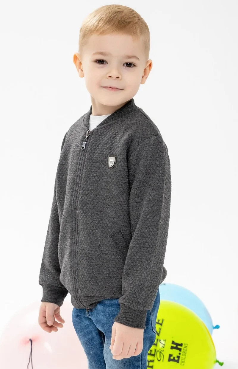 Breeze Boy's Cardigan Basic with Pockets and Emblem 2-6 Years, Smoked