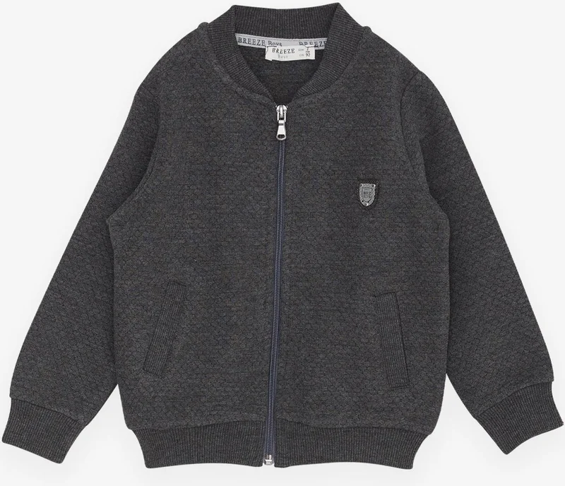 Breeze Boy's Cardigan Basic with Pockets and Emblem 2-6 Years, Smoked