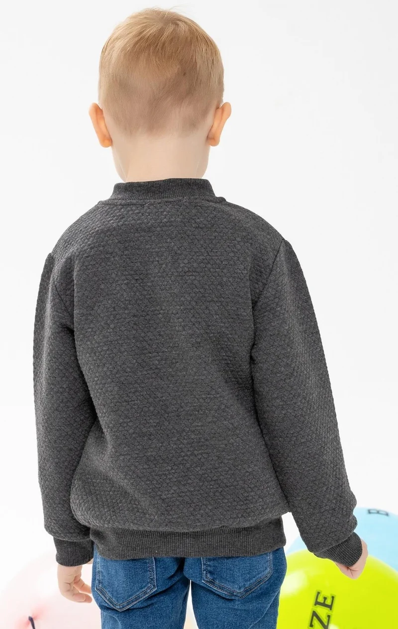 Breeze Boy's Cardigan Basic with Pockets and Emblem 2-6 Years, Smoked