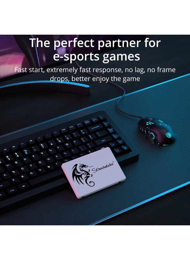 Somnambulist SSD 2.5 128GB Internal Solid State Drive  for laptops and desktops SSD Sata3 interface - Image 3