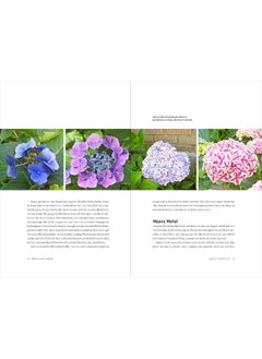 How Plants Work: The Science Behind the Amazing Things Plants Do  - Image 1