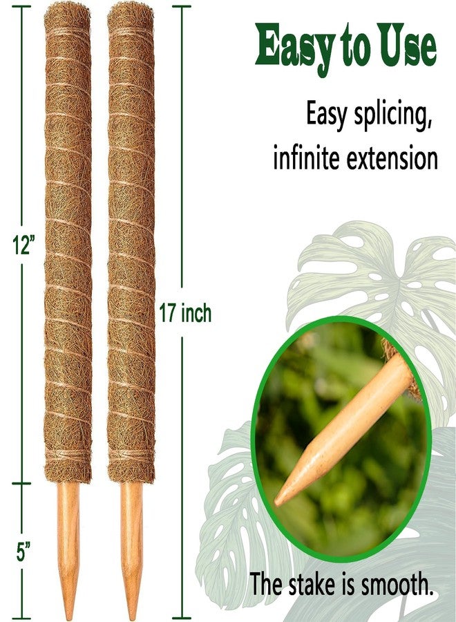 CHIAFFI Auwowch 2 Pack 17 Inch Moss Pole, Stackable Moss Poles for Climbing Plants Monstera, Tall Plant Sticks Accessories, Large Coir Plant Support Stakes for Potted Plants Indoor, Pothos, Philodendron - Image 2