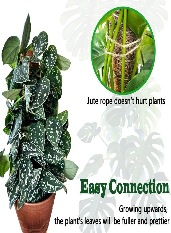 CHIAFFI Auwowch 2 Pack 17 Inch Moss Pole, Stackable Moss Poles for Climbing Plants Monstera, Tall Plant Sticks Accessories, Large Coir Plant Support Stakes for Potted Plants Indoor, Pothos, Philodendron - Image 5