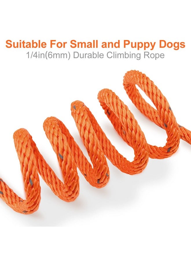 Joytale - Joytale Long Dog Training Leash, 50FT Tie Out Rope Check Cord with Padded Handle, Reflective Recall Lead for Puppy and Small Dogs, Orange - Image 1