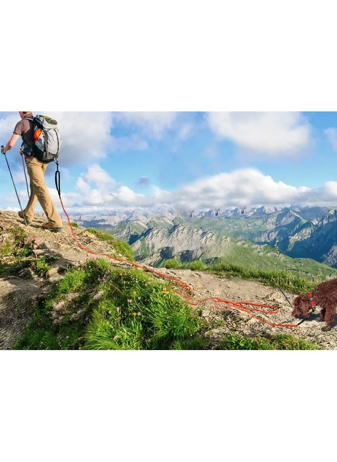 Joytale - Joytale Long Dog Training Leash, 50FT Tie Out Rope Check Cord with Padded Handle, Reflective Recall Lead for Puppy and Small Dogs, Orange - Image 1