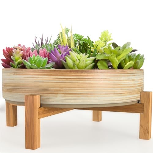ARTKETTY Succulent Pots - 11 Inch Large Plant Pots Ceramic Bonsai Pots with Drainage Stand, Shallow Succulent Planters for Indoor Plants Decorative Flower Cactus Planter Bowl - Image 1