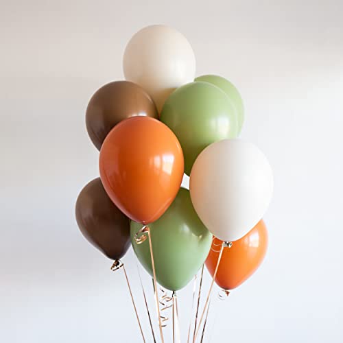 Togvu Sage Green Brown Balloon, 60 Packs 12 Inch Brown Beige Jungle Safari Wild Woodland Balloon, Olive Green Orange Balloons for Birthday Thanksgiving Harvest Festivals Fall Party Decorations - Image 1