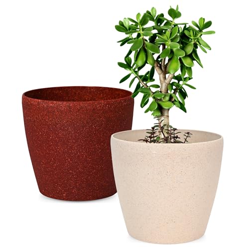 Eha Set of 2 Earth-Friendly Deco 9" Self-Watering pots and Planters | Bamboo Based | UV Protected | for Indoor, Home Decor, Outdoor, Balcony & Garden | SCastle-Coral - Image 1