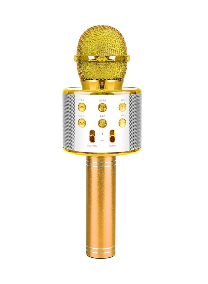 مكبر صوت مع ميكروفون غناء كاريوكي محمول بلوتوث لاسلكي متطور متعدد الوظائف - Image 1