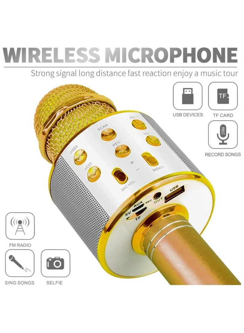 مكبر صوت مع ميكروفون غناء كاريوكي محمول بلوتوث لاسلكي متطور متعدد الوظائف - Image 3