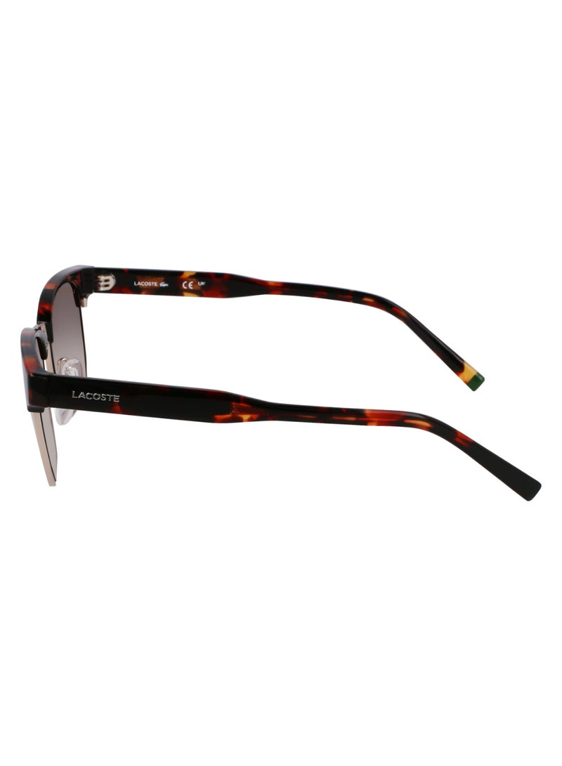 LACOSTE نظارات شمسية لاكوست كاملة الإطار من الأسيتات المحقونة L266S 5120 (214) هافانا/ذهبي - Image 4